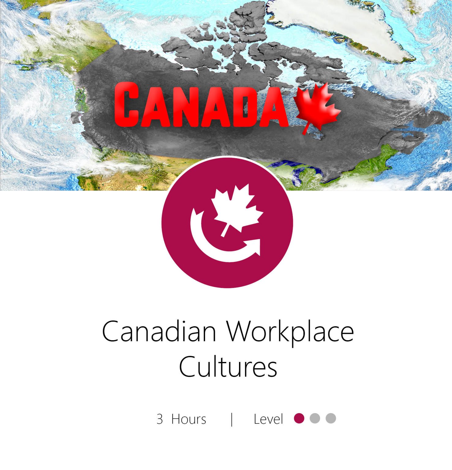 canadian-workplace-cultures-food-processors-institute