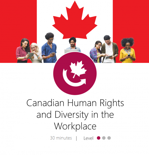 Canadian-Human-Rights-Diversity-Template1-e1573844905827-1