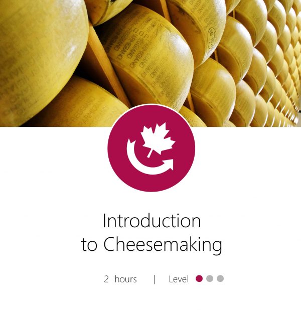 Intro to Cheesemaking Graphic