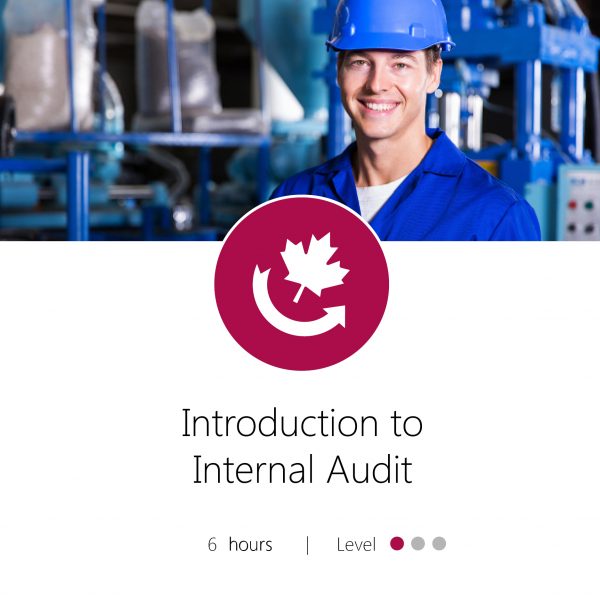 Intro to Internal Audit Graphic