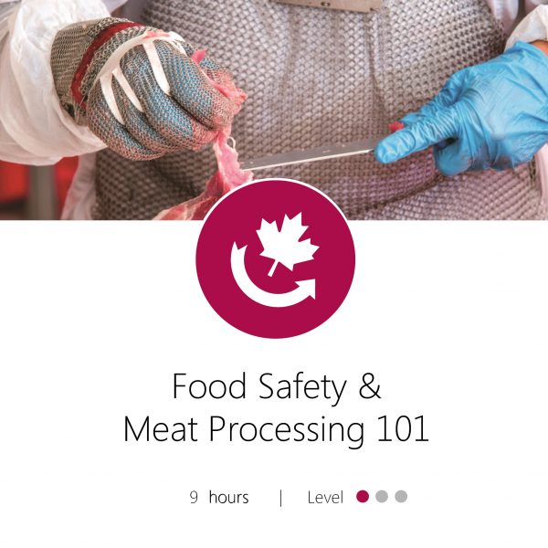 Meat 101 Graphic Template2