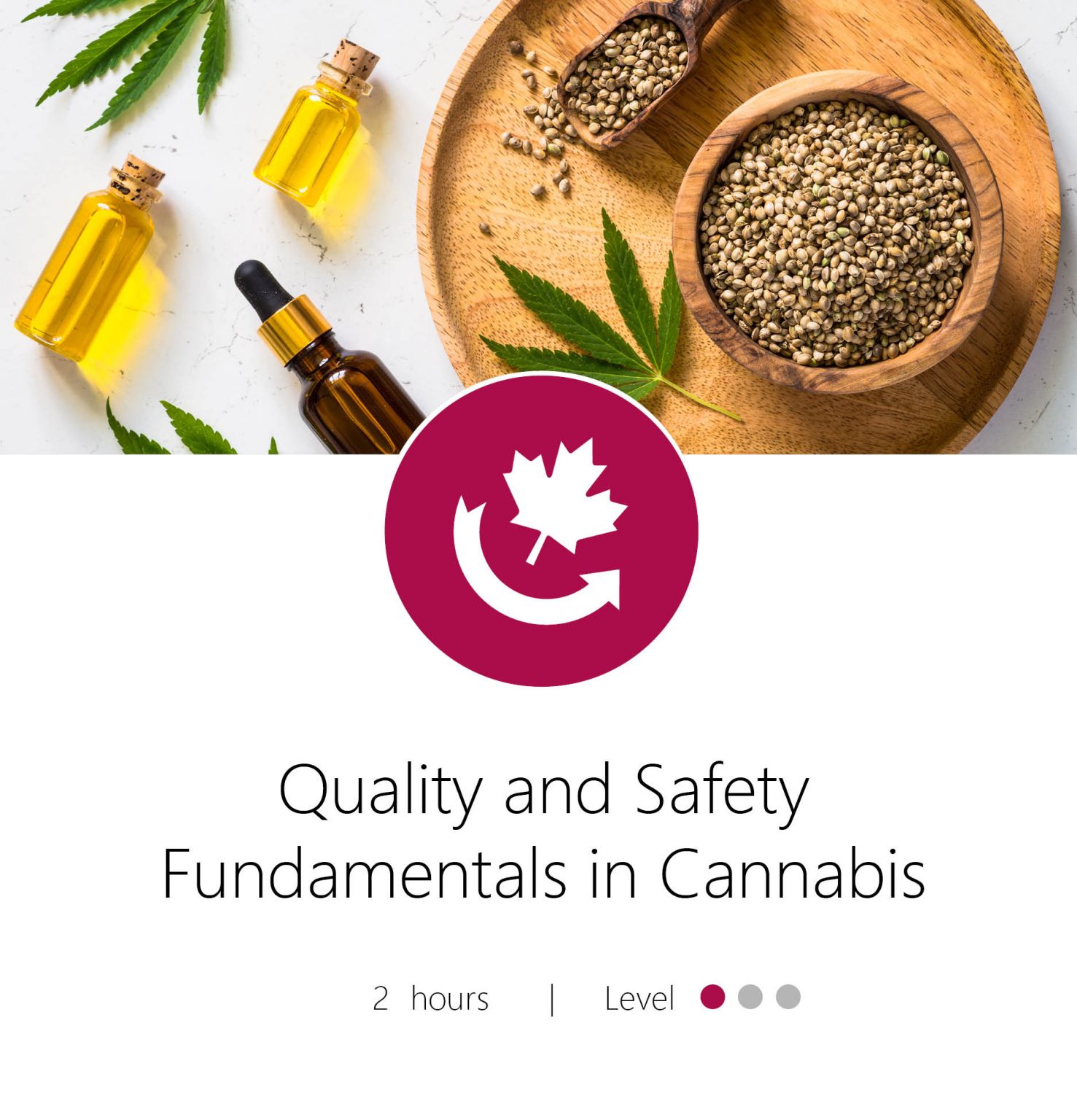 Quality And Safety Fundamentals In Cannabis - Food Processors Institute