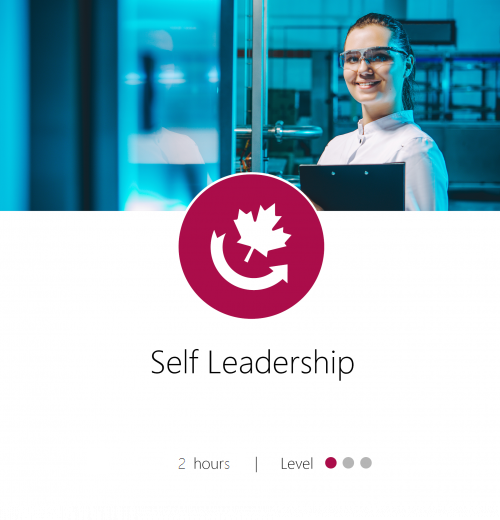 Self-Leadership-Template-e1573845673666-1