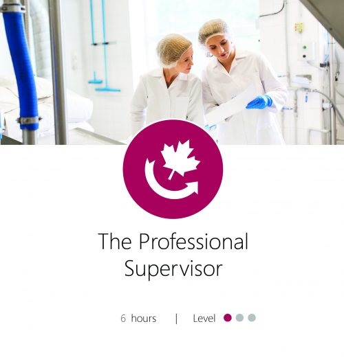 the-Professional-Supervisor-Graphic-e1574651717651-1